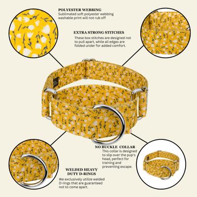Show full view: Country Brook Petz HossFit Jr Spring Cottagecore Wide Martingale Dog Collar, Yellow, Large: 18 to 26-in neck, 1.5-in wide slide 6 of 8