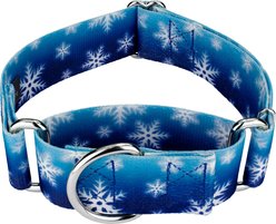 Country Brook Petz HossFit Jr Winter Wonderland Wide Martingale Dog Collar, Large