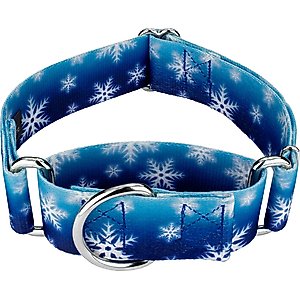 Country Brook Petz HossFit Jr Winter Wonderland Wide Martingale Dog Collar, Large