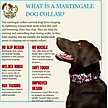 Show in main carousel: Country Brook Petz HossFit Jr Santa & Friends Wide Martingale Dog Collar, Medium slide 5 of 8