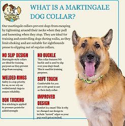 Country Brook Petz HossFit Jr Puppy Picnic Wide Martingale Dog Collar, Brown, Medium slide 2 of 8