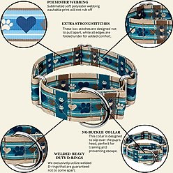 Country Brook Petz HossFit Jr Puppy Picnic Wide Martingale Dog Collar, Brown, Large slide 2 of 8