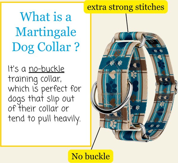 Country Brook Petz HossFit Jr Puppy Love Wide Martingale Dog Collar