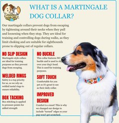 Country Brook Petz HossFit Jr Collection Brisk Autumn Wide Martingale Dog Collar, Red, Medium slide 2 of 9