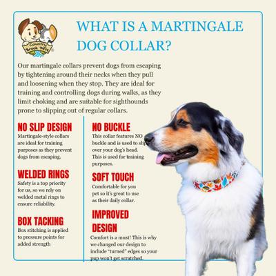 Show full view: Country Brook Petz HossFit Jr Collection Brisk Autumn Wide Martingale Dog Collar, Red, X-Large slide 9 of 10