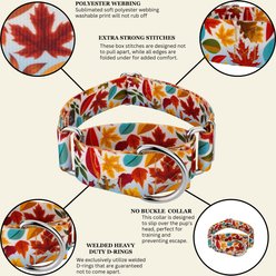 Country Brook Petz HossFit Jr Collection Brisk Autumn Wide Martingale Dog Collar, Red, X-Large slide 2 of 9