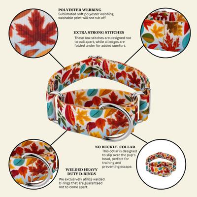 Show full view: Country Brook Petz HossFit Jr Collection Brisk Autumn Wide Martingale Dog Collar, Red, X-Large slide 10 of 10