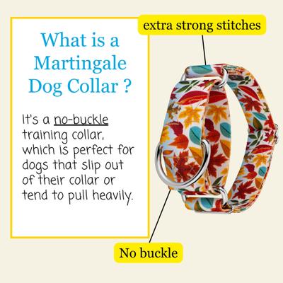 Show full view: Country Brook Petz HossFit Jr Collection Brisk Autumn Wide Martingale Dog Collar, Red, X-Large slide 7 of 10