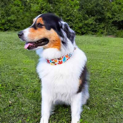 Show full view: Country Brook Petz HossFit Jr Collection Brisk Autumn Wide Martingale Dog Collar, Red, X-Large slide 5 of 10