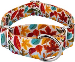 Country Brook Petz HossFit Jr Collection Brisk Autumn Wide Martingale Dog Collar, Red, Medium