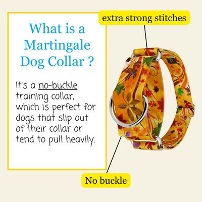 Show full view: Country Brook Petz HossFit Jr Autumn Wind Wide Martingale Dog Collar, Large slide 4 of 9