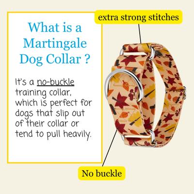 Show full view: Country Brook Petz HossFit Jr Fall Foliage Wide Martingale Dog Collar, Large slide 3 of 8