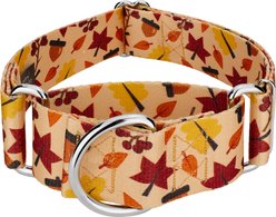 Country Brook Petz HossFit Jr Fall Foliage Wide Martingale Dog Collar, Large