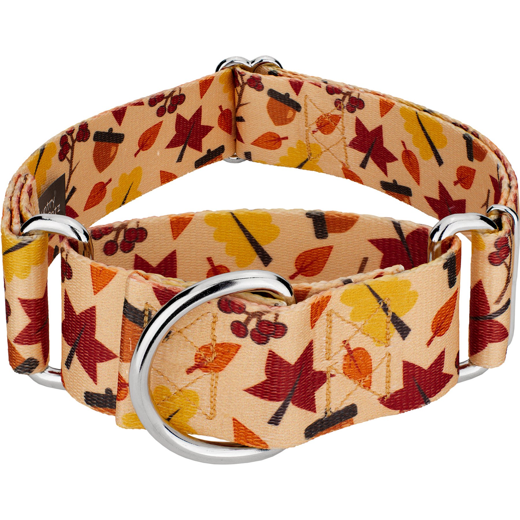 Country Brook Petz HossFit Jr Fall Foliage Wide Martingale Dog Collar, Medium