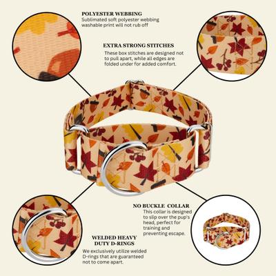 Show full view: Country Brook Petz HossFit Jr Fall Foliage Wide Martingale Dog Collar, Large slide 6 of 8