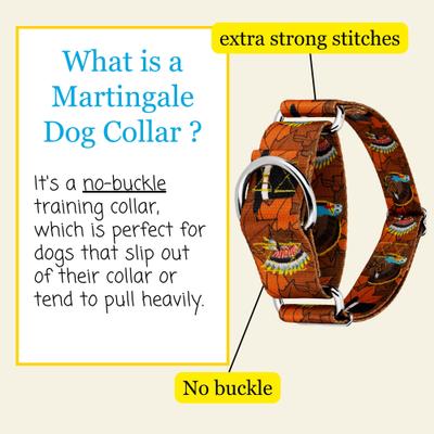 Show full view: Country Brook Petz HossFit Jr Thanksgiving Tradition Wide Martingale Dog Collar, Large slide 3 of 8