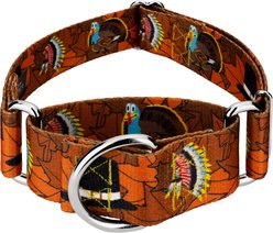 Country Brook Petz HossFit Jr Thanksgiving Tradition Wide Martingale Dog Collar, Large