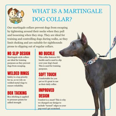 Show full view: Country Brook Petz HossFit Jr Terracotta Arrows Wide Martingale Dog Collar, Large slide 8 of 9