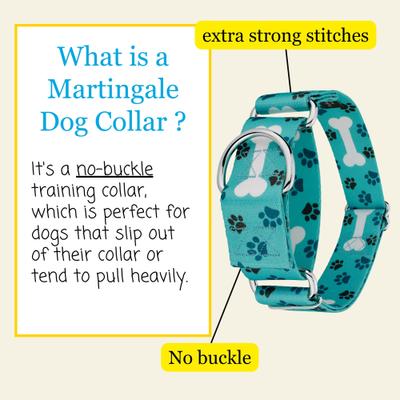 Show full view: Country Brook Petz HossFit Jr Oh My Dog Wide Martingale Dog Collar, Blue, X-Large slide 6 of 10