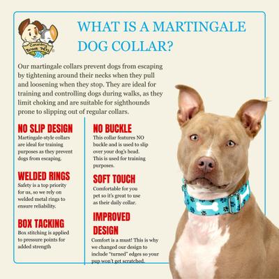 Show full view: Country Brook Petz HossFit Jr Oh My Dog Wide Martingale Dog Collar, Blue, X-Large slide 8 of 10