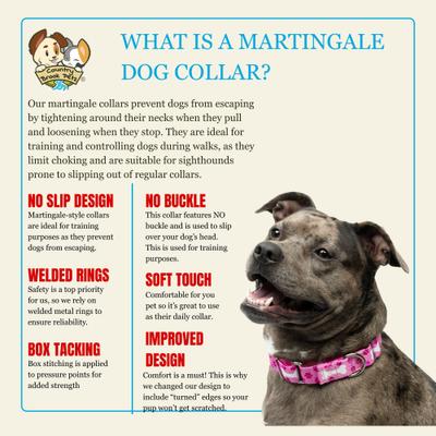 Show full view: Country Brook Petz HossFit Jr Oh My Dog Wide Martingale Dog Collar, Pink, Large slide 7 of 9