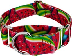 Country Brook Petz HossFit Jr Summer Melon Wide Martingale Dog Collar, X-Large