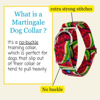 Show full view: Country Brook Petz HossFit Jr Summer Melon Wide Martingale Dog Collar, X-Large slide 3 of 8