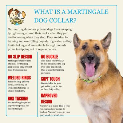 Show full view: Country Brook Petz HossFit Jr Margarita Argyle Wide Martingale Dog Collar, Medium slide 5 of 8