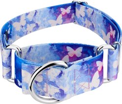 Country Brook Petz HossFit Jr Watercolor Butterflies Wide Martingale Dog Collar, Medium: 15 to 21-in neck, 1.5-in wide