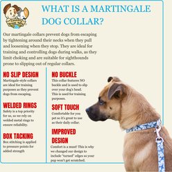 Country Brook Petz HossFit Jr Watercolor Butterflies Wide Martingale Dog Collar, Large slide 2 of 8