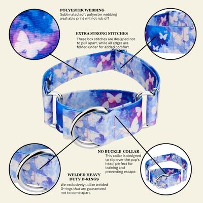 Show full view: Country Brook Petz HossFit Jr Watercolor Butterflies Wide Martingale Dog Collar, X-Large slide 6 of 9