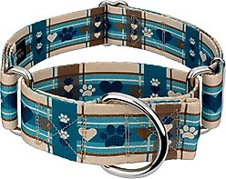 Country Brook Petz HossFit Jr Puppy Picnic Wide Martingale Dog Collar, Brown, Medium