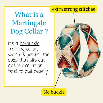 Show full view: Country Brook Petz HossFit Jr Sedona Arrows Wide Martingale Dog Collar, Large slide 6 of 9