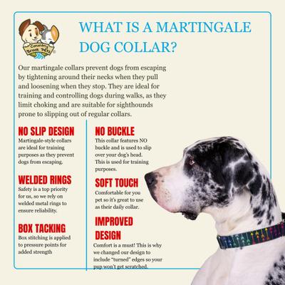 Show full view: Country Brook Petz HossFit Jr Colorful Arrows Wide Martingale Dog Collar, Large slide 8 of 9