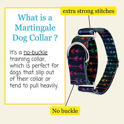 Show full view: Country Brook Petz HossFit Jr Colorful Arrows Wide Martingale Dog Collar, Large slide 6 of 9