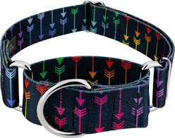 Country Brook Petz HossFit Jr Colorful Arrows Wide Martingale Dog Collar, Large