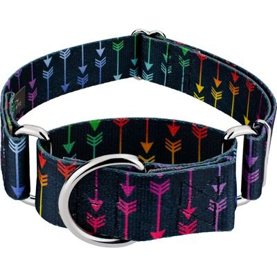 Country Brook Petz Country Brook Petz HossFit Jr Colorful Arrows Wide Martingale Dog Collar, Large