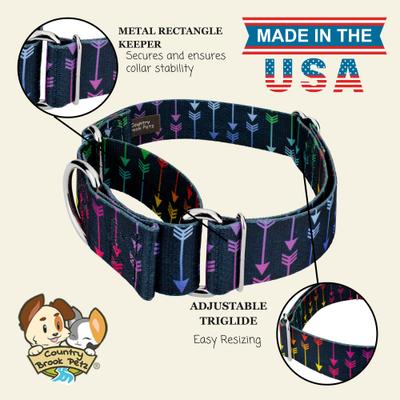 Show full view: Country Brook Petz HossFit Jr Colorful Arrows Wide Martingale Dog Collar, Large slide 2 of 9