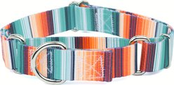 Country Brook Petz Sedona Stripes Martingale Dog Collar, Medium: 15 to 21-in neck, 1-in wide