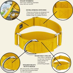 Country Brook Petz HossFit Jr Wide Training Martingale Dog Collar, Gold, Medium: 15 to 21-in neck, 1.5-in wide slide 2 of 8