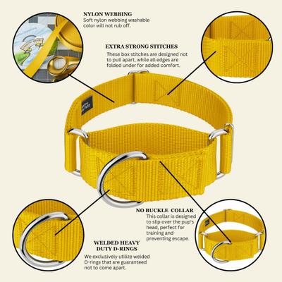 Show full view: Country Brook Petz HossFit Jr Wide Training Martingale Dog Collar, Gold, Medium: 15 to 21-in neck, 1.5-in wide slide 6 of 8