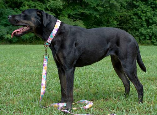 Show full view: Country Brook Petz May Flowers Martingale Dog Collar, Large: 18 to 26-in neck, 1-in wide slide 3 of 7