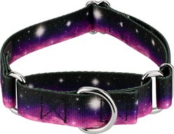 Country Brook Petz Heavenly Space Martingale Dog Collar, XX-Small: 7 to 10-in neck, 1/2-in wide