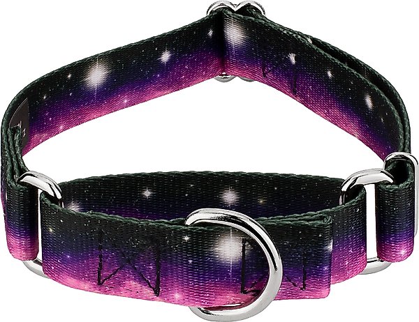Show full view: Country Brook Petz Heavenly Space Martingale Dog Collar, Small: 11 to 15-in neck, 5/8-in wide slide 1 of 5