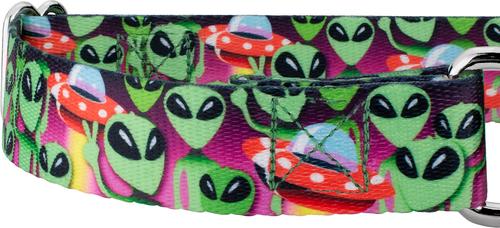 Show full view: Country Brook Petz Space Aliens Martingale Dog Collar, Large: 18 to 26-in neck, 1-in wide slide 7 of 7