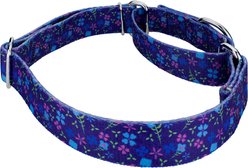 Country Brook Petz Blueberry Fields Martingale Dog Collar, Medium: 15 to 21-in neck, 1-in wide slide 2 of 6