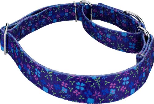 Show full view: Country Brook Petz Blueberry Fields Martingale Dog Collar, Medium: 15 to 21-in neck, 1-in wide slide 5 of 6