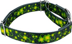 Country Brook Petz Clovers In The Wind Martingale Dog Collar, Medium: 15 to 21-in neck, 1-in wide slide 2 of 6