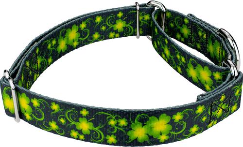 Show full view: Country Brook Petz Clovers In The Wind Martingale Dog Collar, Large: 18 to 26-in neck, 1-in wide slide 5 of 6