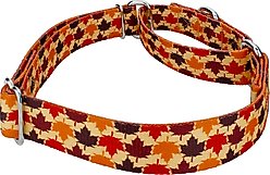 Country Brook Petz Nature Walk Martingale Dog Collar, Large: 18 to 26-in neck, 1-in wide slide 2 of 5